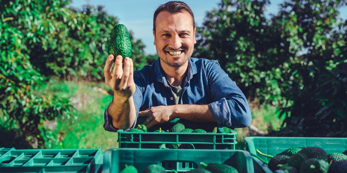 Esotico, la scommessa vincente di Sicilia Avocado